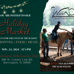 graphic advertising our holiday market. it has a green background with glowing yellow gold and red lettering & sparkles. it includes the date and time and venue address. there is a photo of one of our riders on little, who is a small yellow pony with yellow and black mane and tail. the rider is leaning forward to get a ring that an instructor is holding for her.