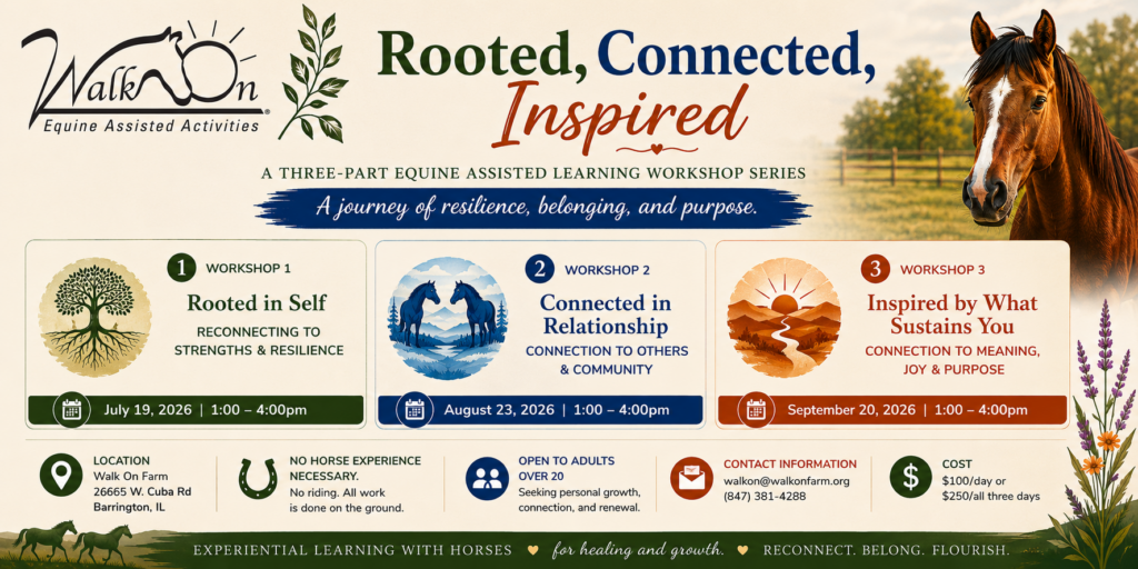 A banner image with all the info about the workshops that is contained below in the description.